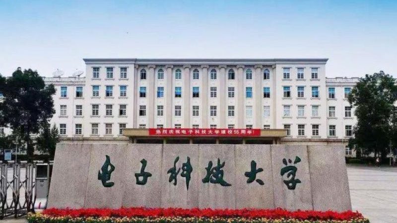 国产芯片加盟政策咨询：企业参与新机遇的关键要素**