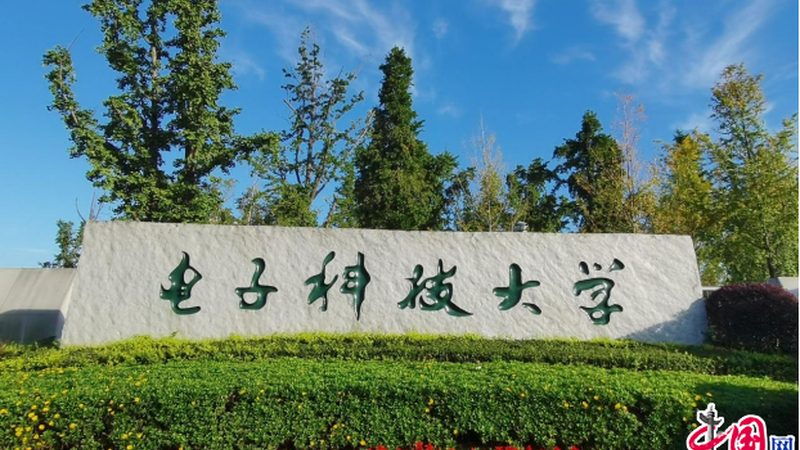 连接器定制加工：揭秘价格构成与影响因素