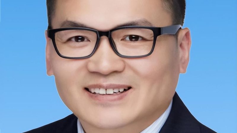 内存芯片与闪存芯片：揭秘它们的本质区别